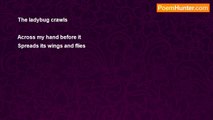 Owen Johnston - Ladybug haiku