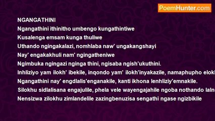Goodenough Sakhile Dlamini - NGANGATHINI?