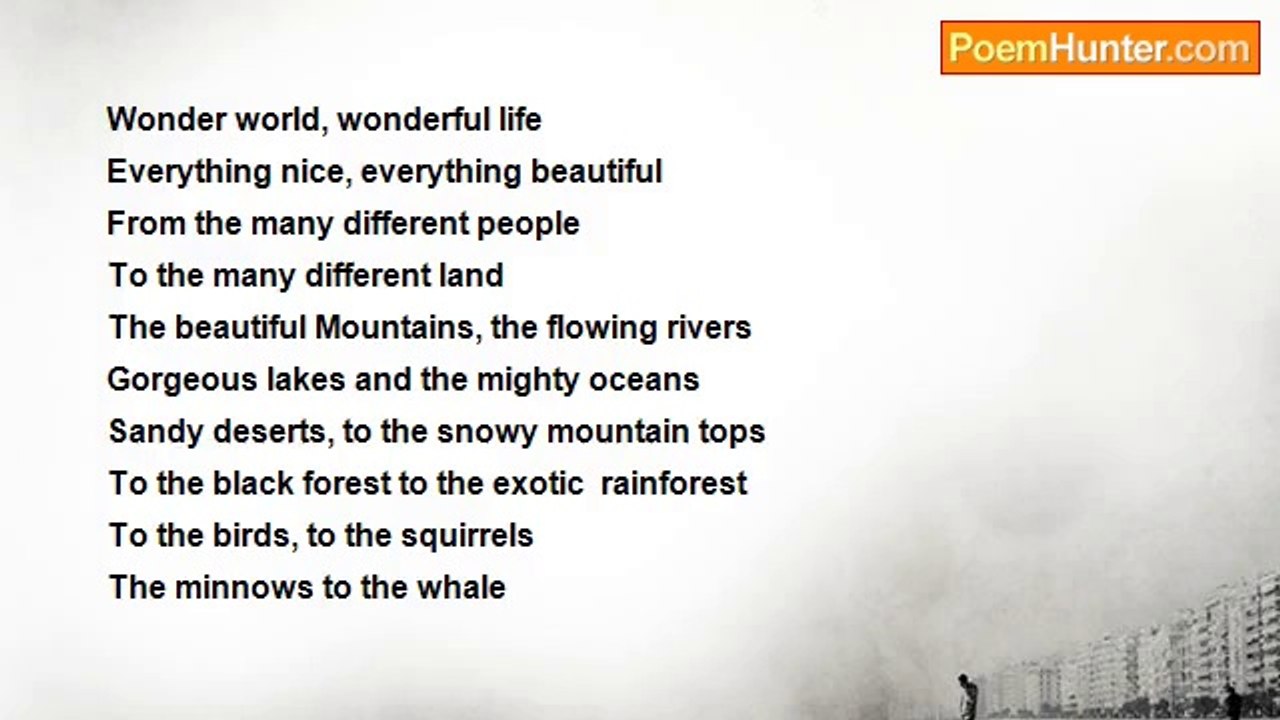 Michael Peterson - Wonderful World, Wonderful Life