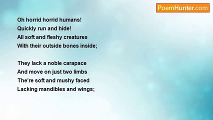 David McLansky - 	Rifff on Eileen's Mighty Insect