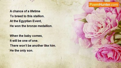 Douglas Stewart - The Arabian horse breeder