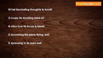 Cynthia BuhainBaello - Wonder (Double Acrostic)