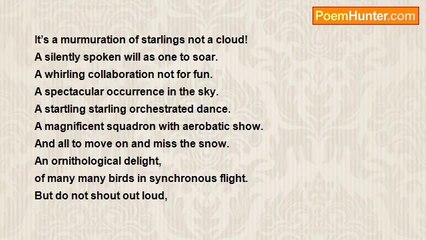 David Taylor - Murmuration