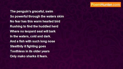 David Taylor - Bird Or Fish?