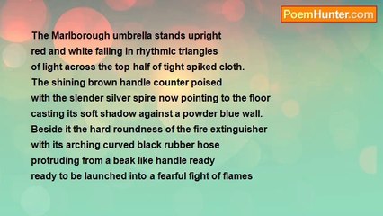 David Taylor - Still Life