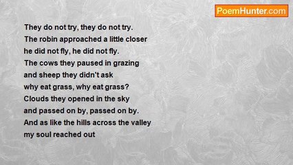 David Taylor - Flying High