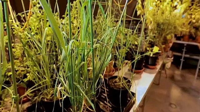 16-й выпуск. НАУКА ПРОТИВ ГОЛОДА (эфир 29.10.2013)