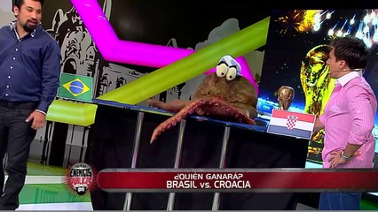Enemigos Públicos presentó al pulpo que predice los resultados del Mundial
