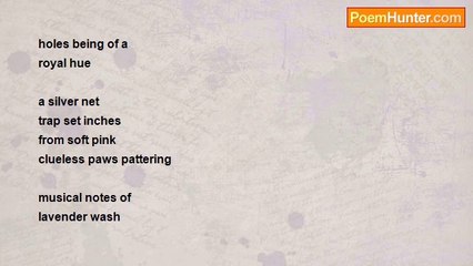 Warren Falcon - Black Mouse Makes The World