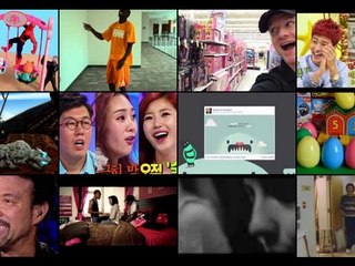 pampered-paws-lafayette-louisiana