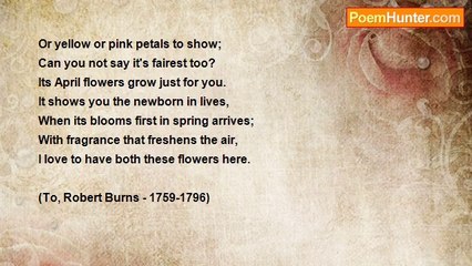 Peter S. Quinn - Red Rose and a Lily