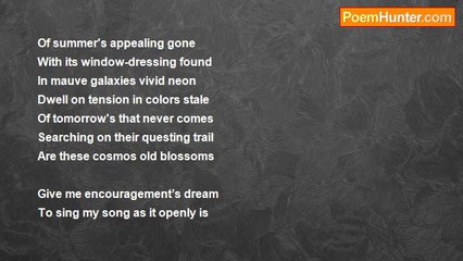 Peter S. Quinn - Encouragement's Dream Song - In Dim Times