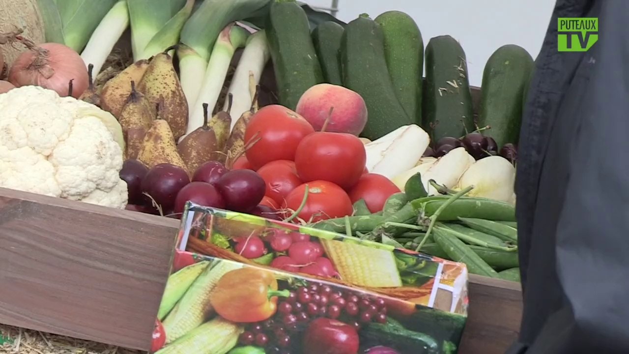 Journée du développement durable