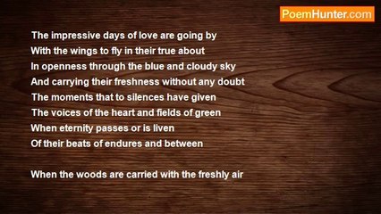 Peter S. Quinn - In Openness Through (Sonnet)