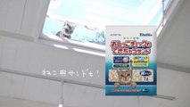 00379 elleair elulu teppei koike wat jpop - Komasharu - Japanese Commercial