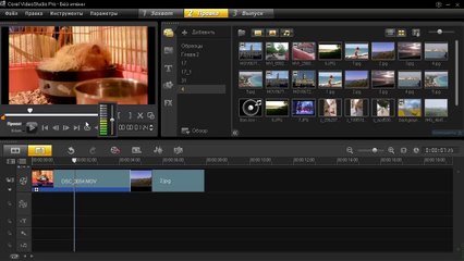 Corel VideoStudio X4. Урок 2. Рабочая область.