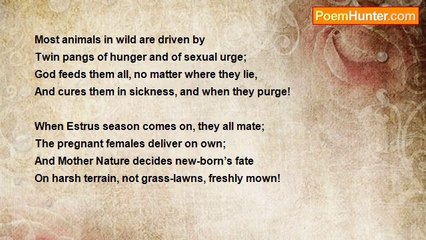 Dr John Celes - Sonnet: Wild Beasts Do Not Abort Like How Some Women Do