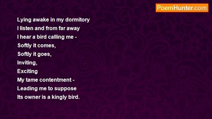 Philippa Lane - The Call of a Wood Pigeon