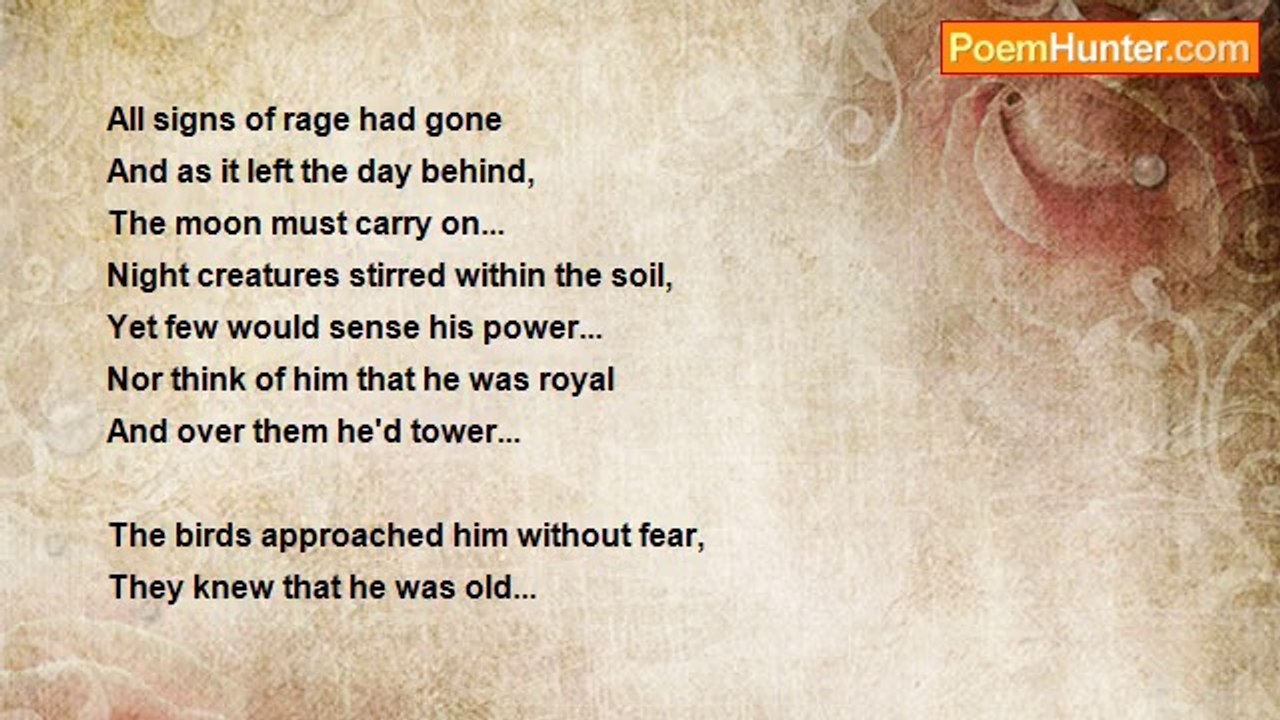 Denis Martindale - African Sunset