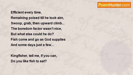 Denis Martindale - Kingfisher