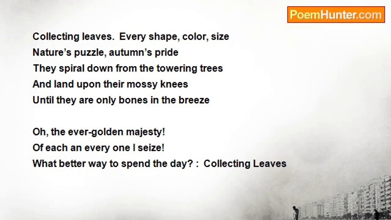 Tyler Mason - Collecting Leaves