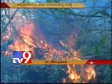 Raging fire again in West Godavari forests