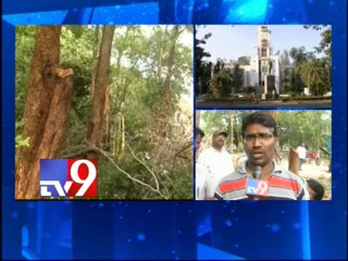 Sandalwood smugglers in SV University