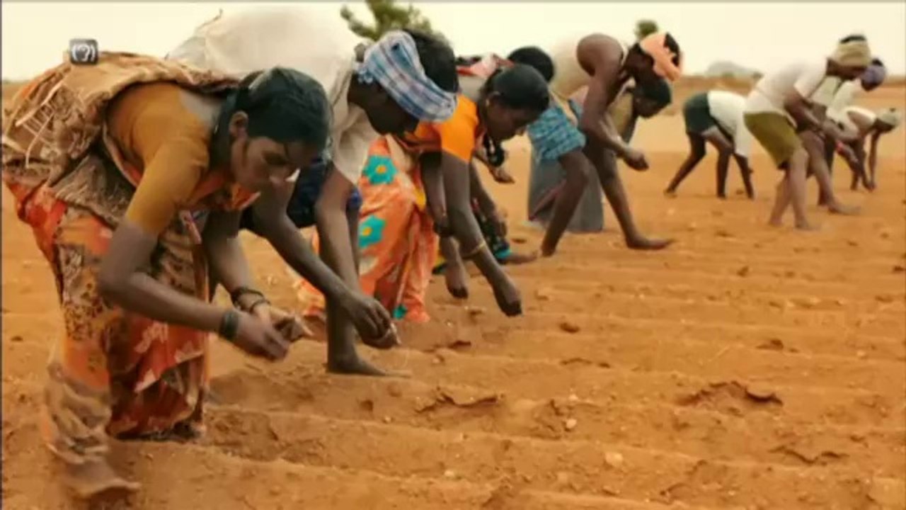 TV3 - Dissabte, 21.55, a TV3 - "Vicenç Ferrer", aquest dissabte 14 de juny