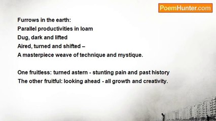 Tony Jolley - Furrows