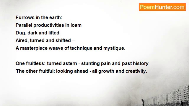 Tony Jolley - Furrows