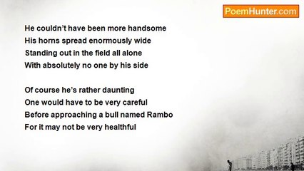 Marilyn Lott - Rambo in the Sunset