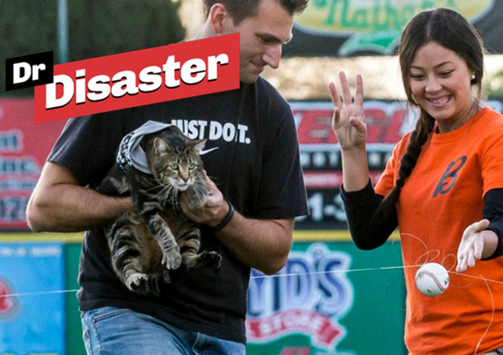 Tara, le chat héroïque, célébré par l'Amérique / Dr Disaster