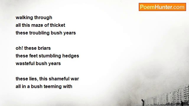 john tiong chunghoo - Bush Haikus