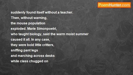 Charles Chaim Wax - Another Day At Spinoza High School