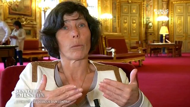 Ecomouv', les dessous d'un contrat - Sénateurs en mission