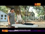 Thayumanavan(Star Vijay)-12 Jun 2014_chunk_1