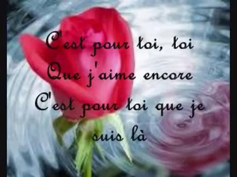 Céline Dion - C'est Pour Toi (Lyrics / Paroles)
