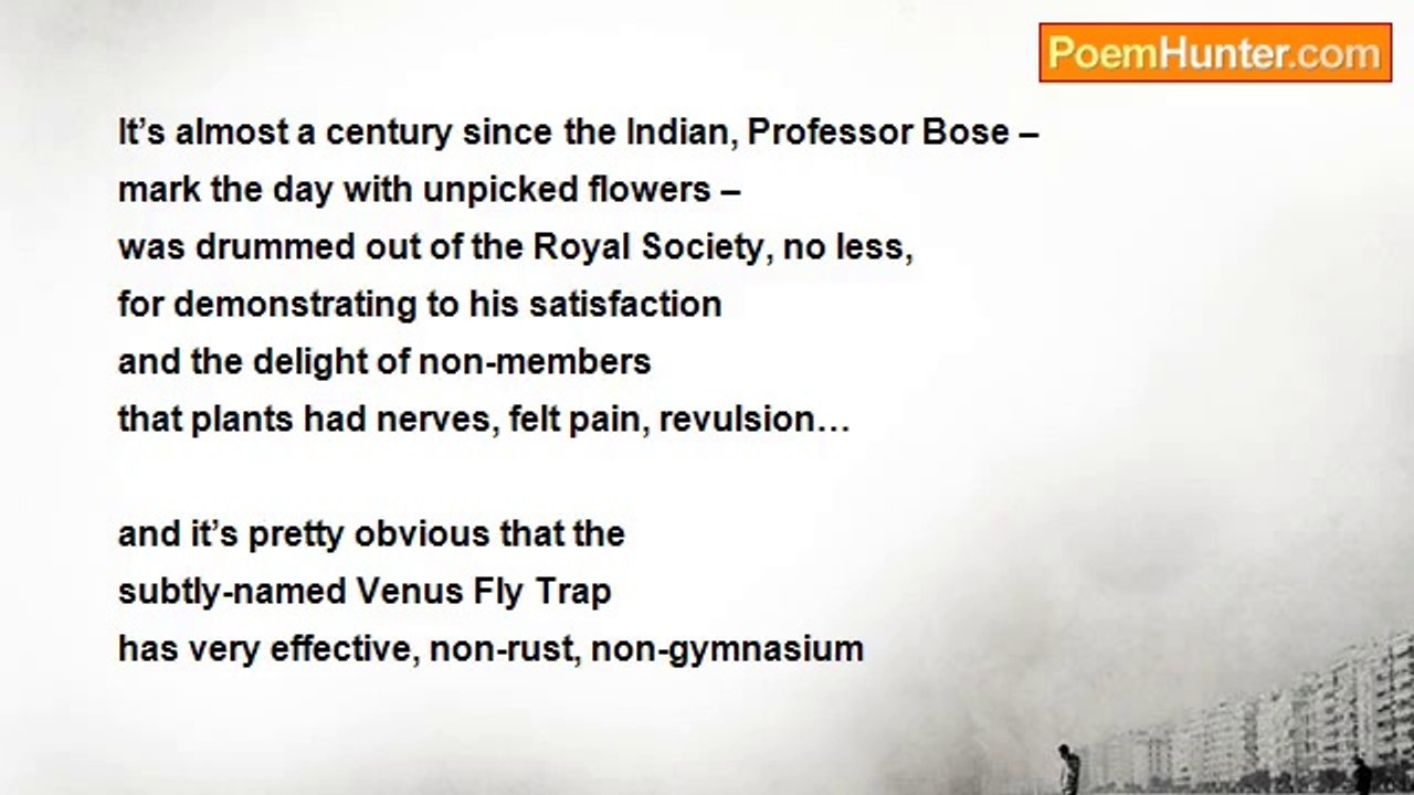 Michael Shepherd - 0050 Morning rain in early autumn