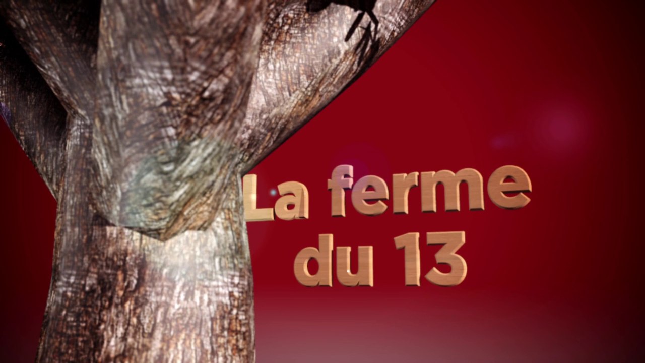 TERROIR 13 OUVRE SES PORTES