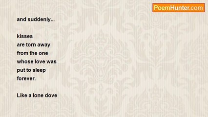 Adryan Rotica - Mourning Dove