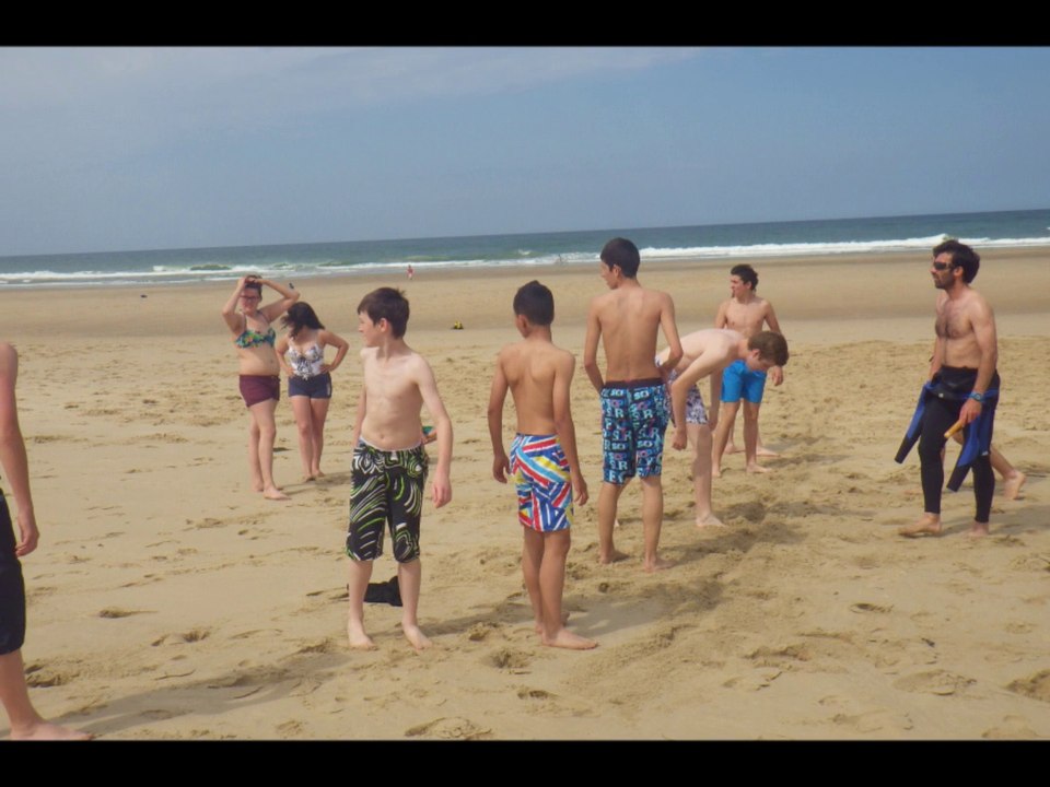 Surf