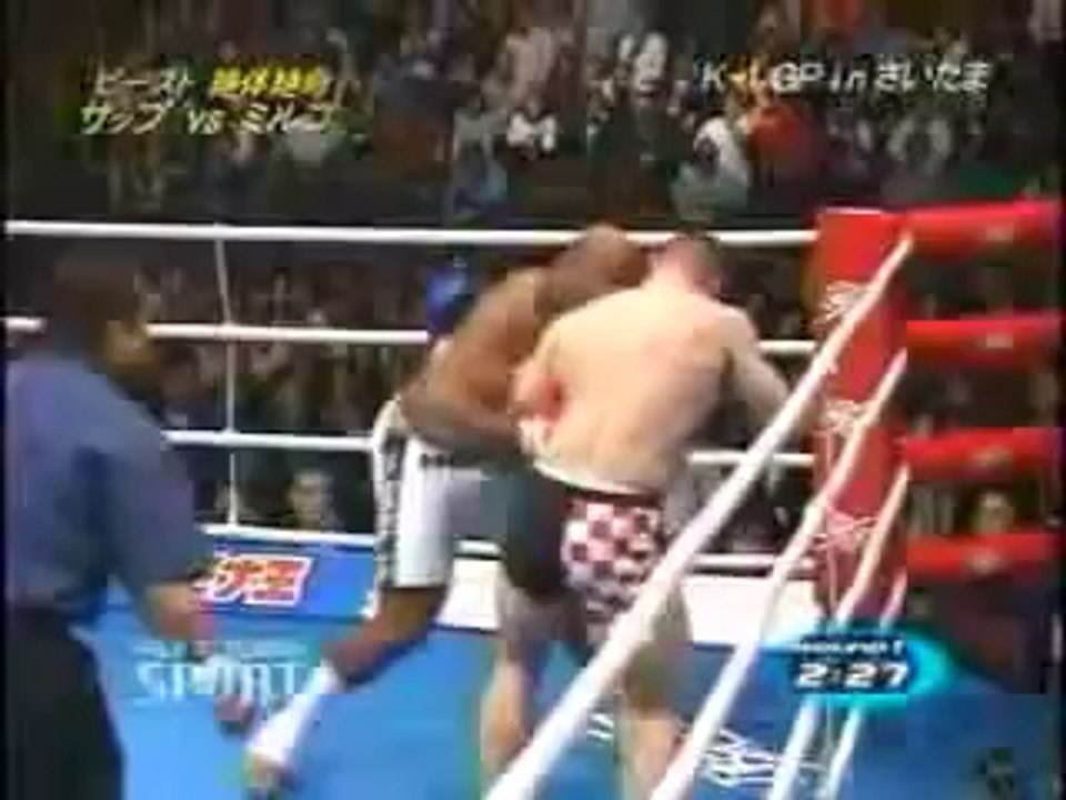 Mirko Cro Cop vs Bob Sapp