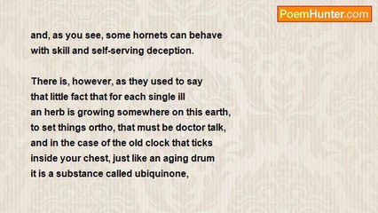 Herbert Nehrlich - Echos Of The Heart