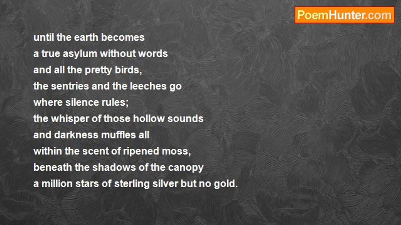 Herbert Nehrlich - Beneath The Canopy