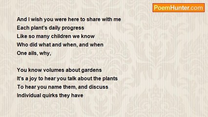 Alice Slater - The garden in the early summer morning