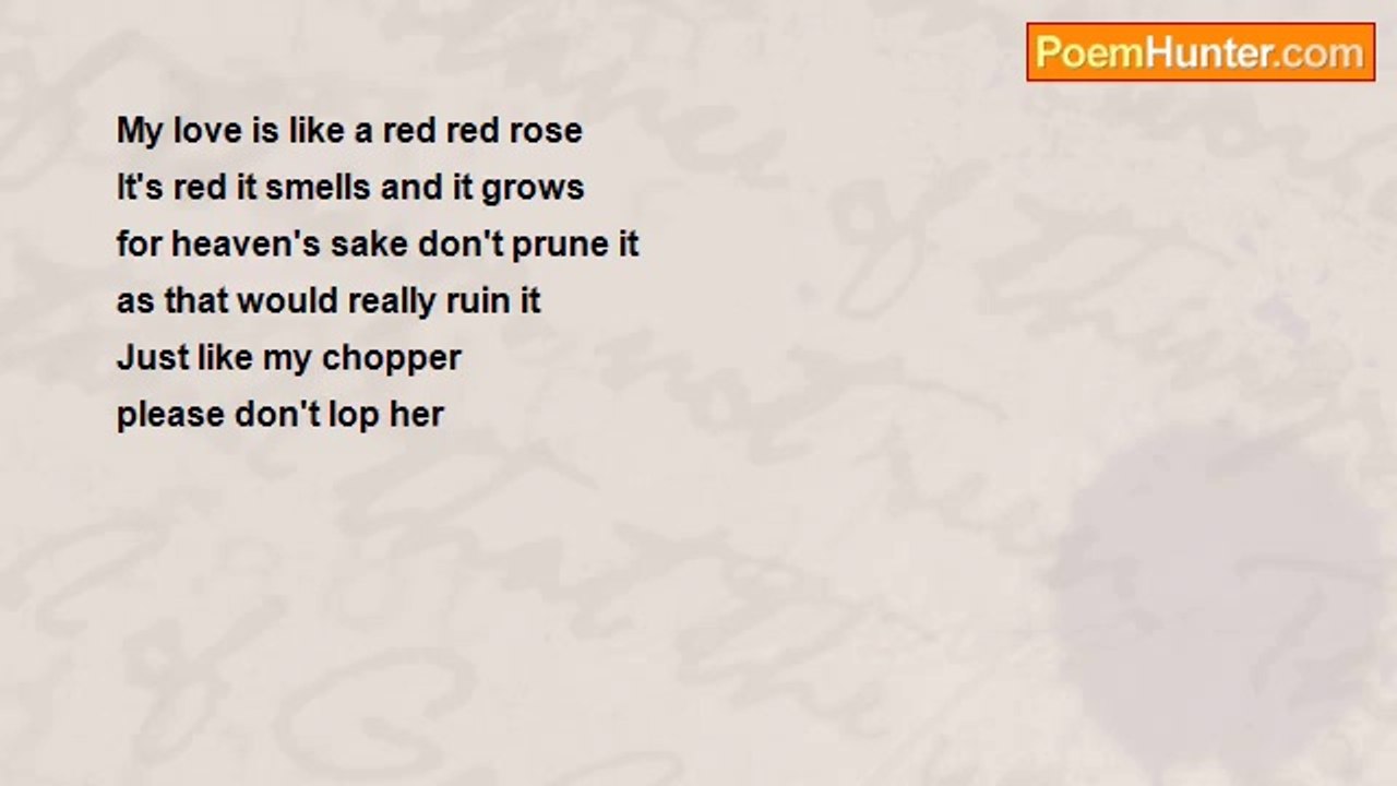 Michael Emine - prunes for breakfast