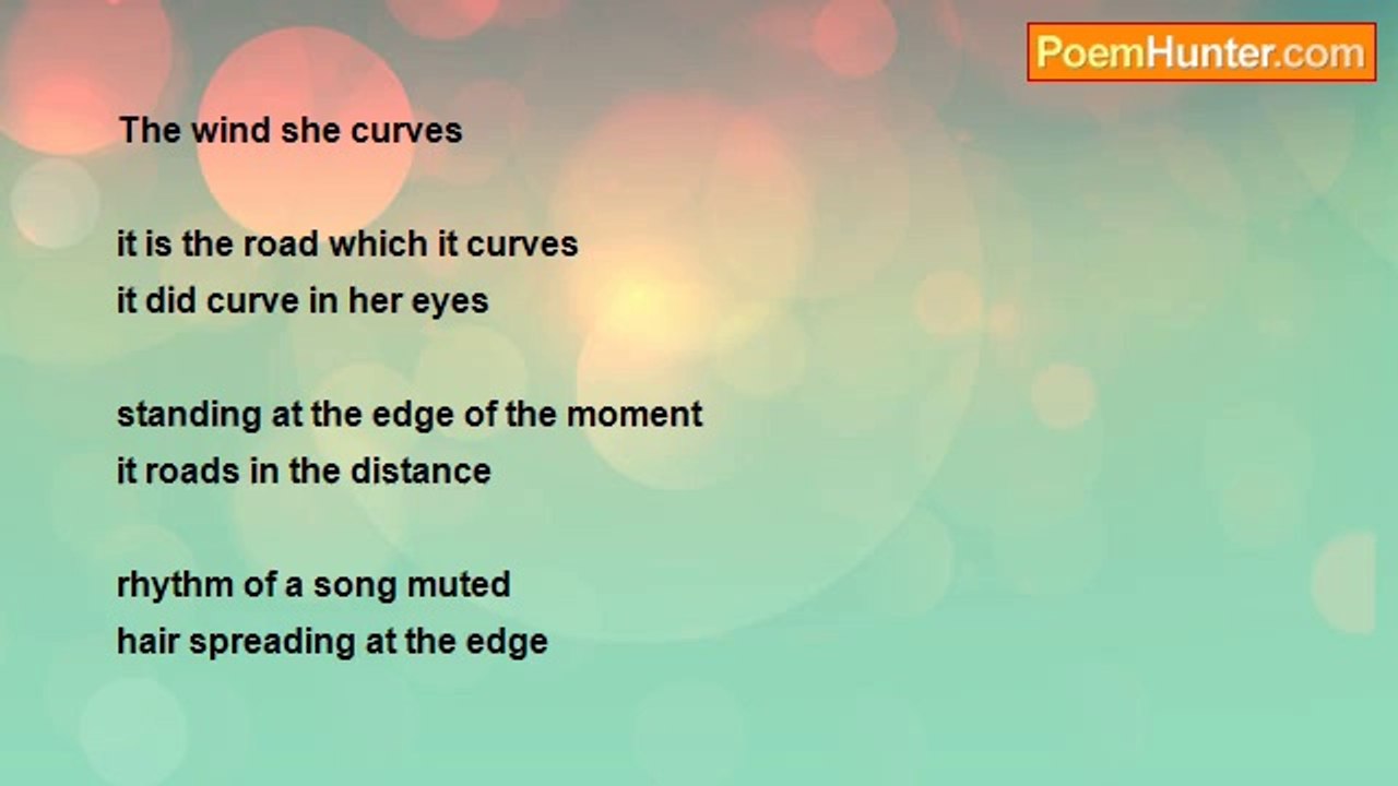 Massoud Abolfathi - The Wind she curves