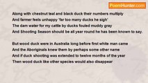Francis Duggan - The Australian Wood Duck