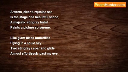 Paul Holmes - Stingray Ballet