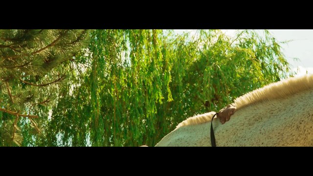 SORRY - WILLY DENZEY FEAT LA HARISSA